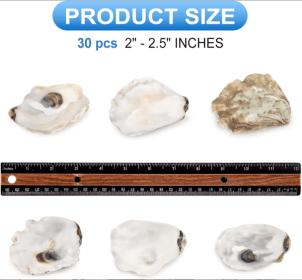 30pcs Oyster Shells With Pearl Bulk Natural Oyster Shells For Crafts DIY Arts Xmas Ornaments (Option: Style1)